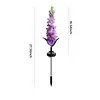 4Pcs Outdoor Solar Garden Lights Waterproof Led Violet Flower Shape Stake Light Reusable Violet Gardening Stake Lighting for Courtyard Landscape Lawn Light