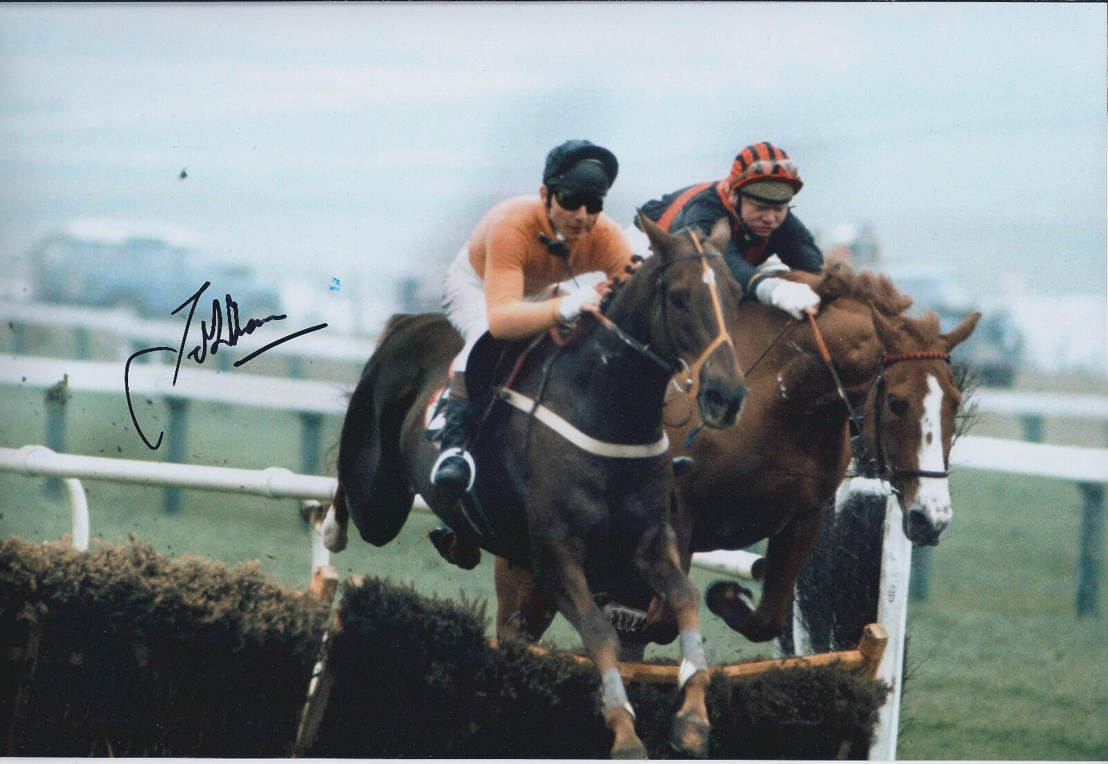 John FRANCOME Jockey SIGNED Autograph Photo Poster painting AFTAL COA Cheltenham Gold Cup WInner