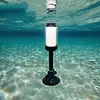 10 Inch Anchor Light Stern Light IP65 Waterproof for Marine Pontoon Small Boat