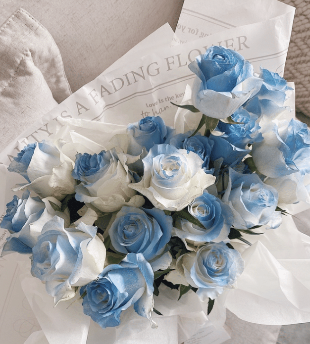 Michigan crushed ice blue and white rose bouquet Seeds