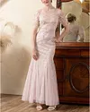 Elegant Embroidered Mesh Evening Gown