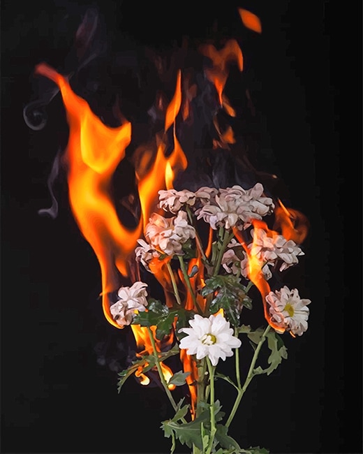 

Burning Flowers – Paint By Numbers - 40*50CM, 501 Original