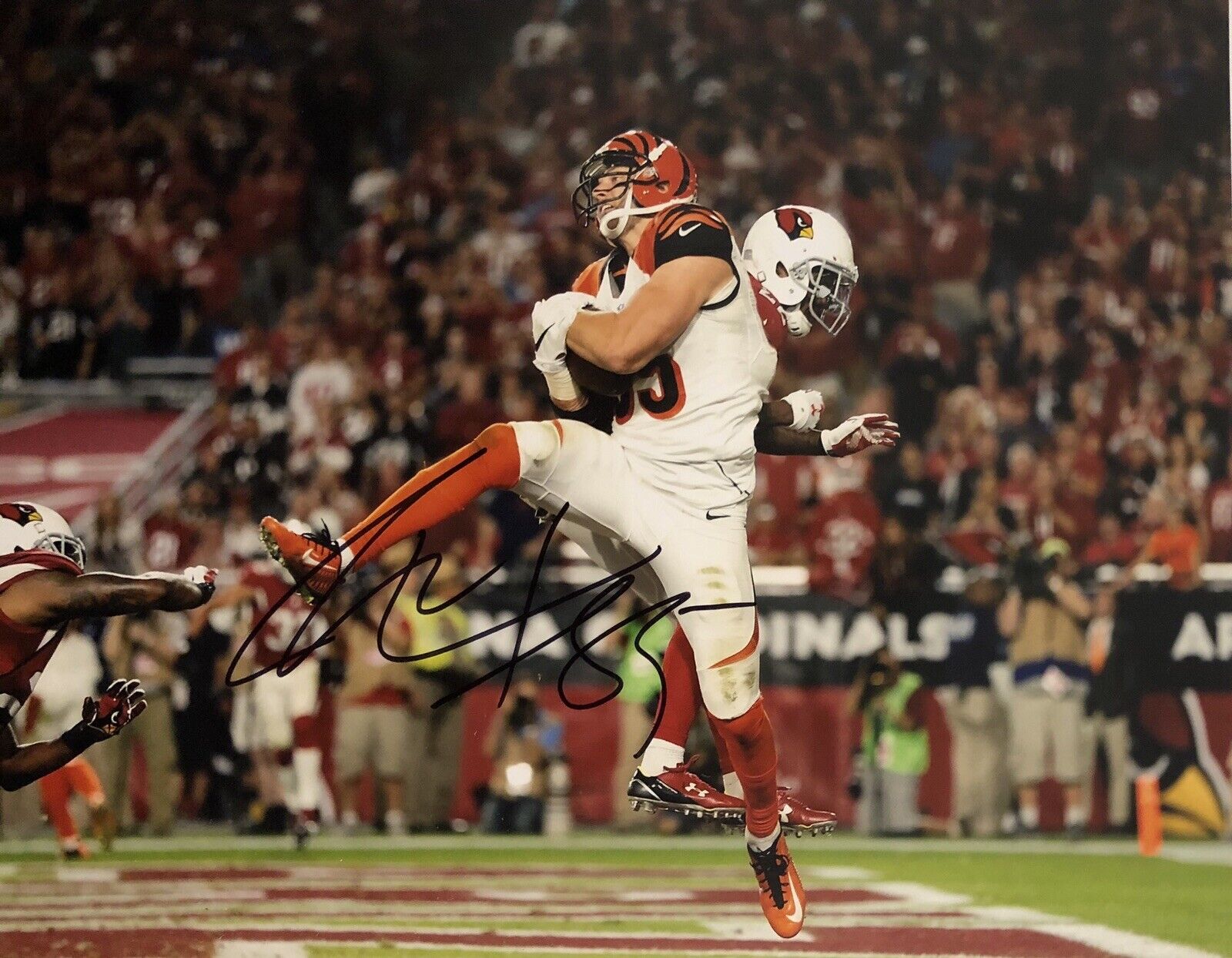 Tyler Eifert Signed Autographed Cincinnati Bengals 8x10 Photo Poster painting Super Bowl Coa