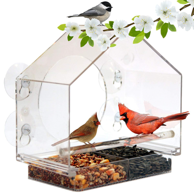 Window Bird House Feeder | 168DEAL