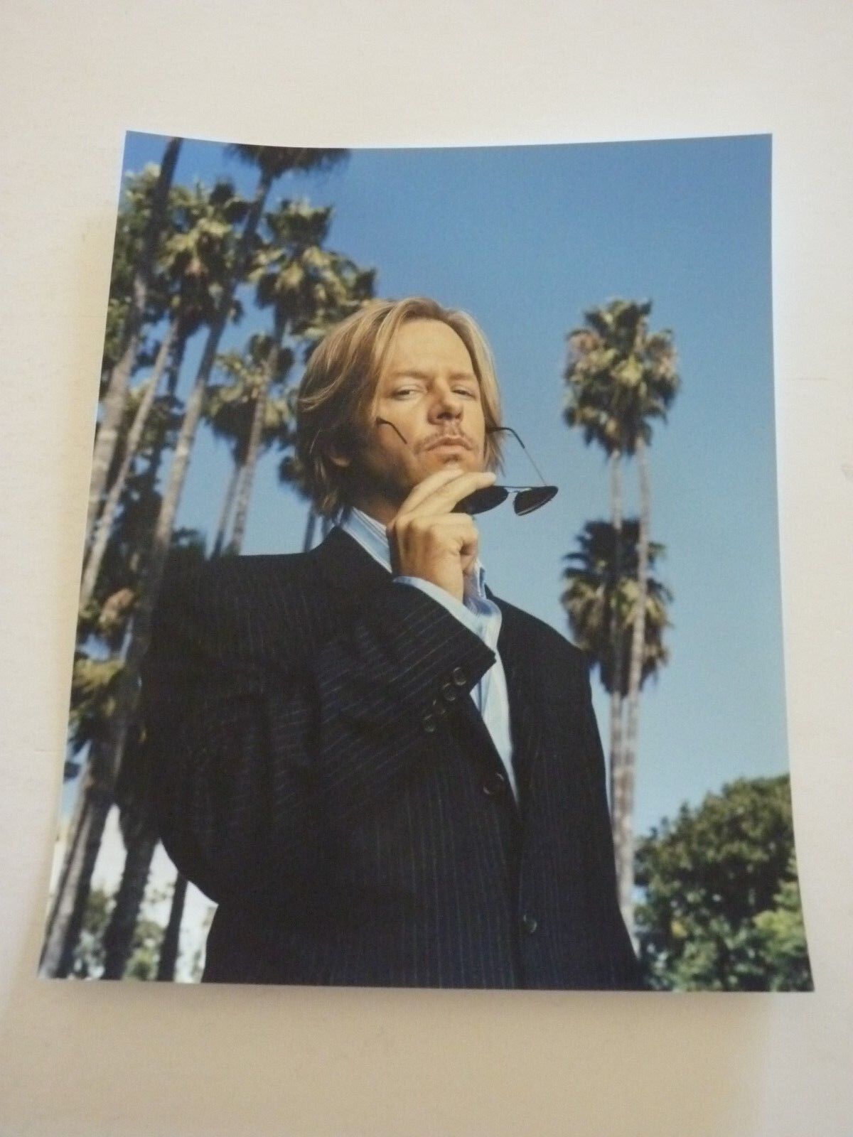 David Spade Actor 8x10 Color Promo Photo Poster painting