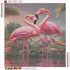 Flamingo-Full Round Diamond Painting 40*60cm