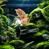 Fishing Cat Ornament Mini Cat Figurine Home Car Interior Decoration (7Pcs)