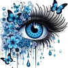 Oeil de l&rsquo;&acirc;me-peinture sp&eacute;ciale diamant partiel-30*30cm