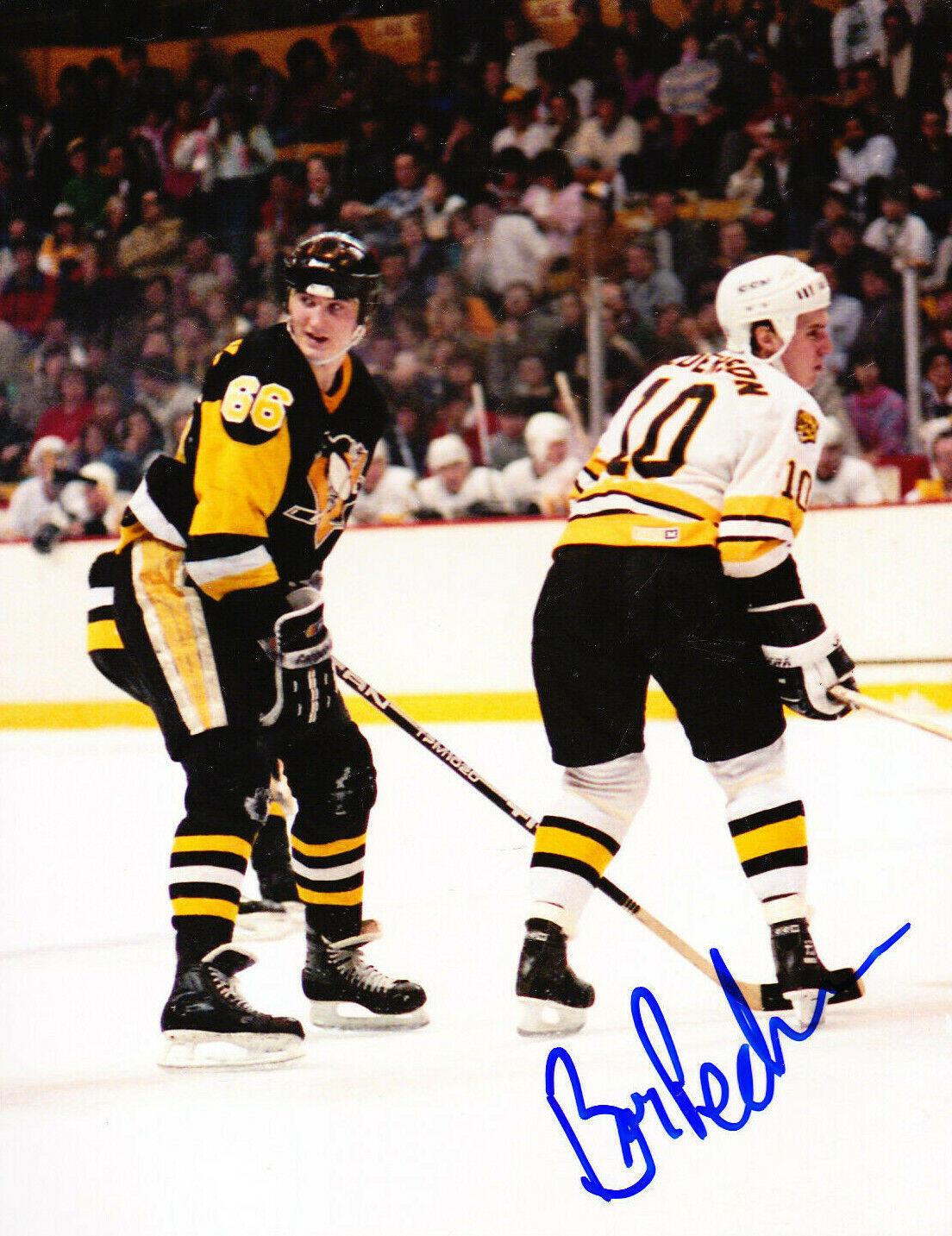 BARRY PEDERSON AUTOGRAPH SIGNED Photo Poster painting 8X10 BOSTON BRUINS COA W MARIO LEMIEUX