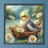 Diamond Painting-DIY Full Round Drill Bird(40*40CM)