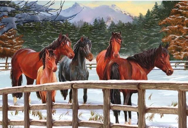 

Horse in Winter – Paint By Numbers - 40*50CM, 501 Original