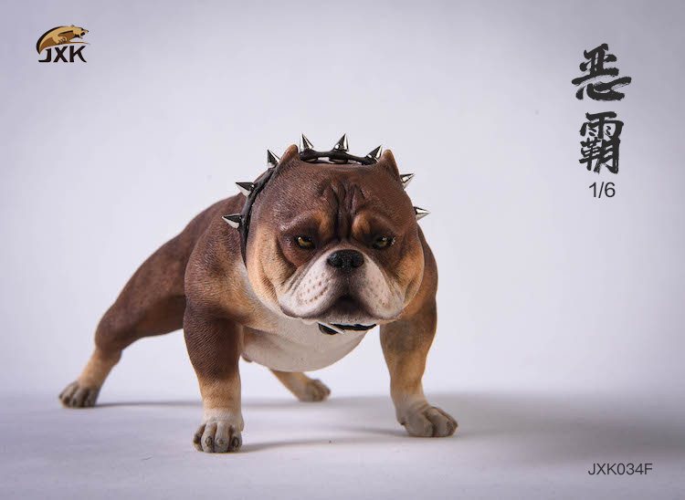 JXK 1/6 JXK034 Bully dog Animal model accessories-aliexpress