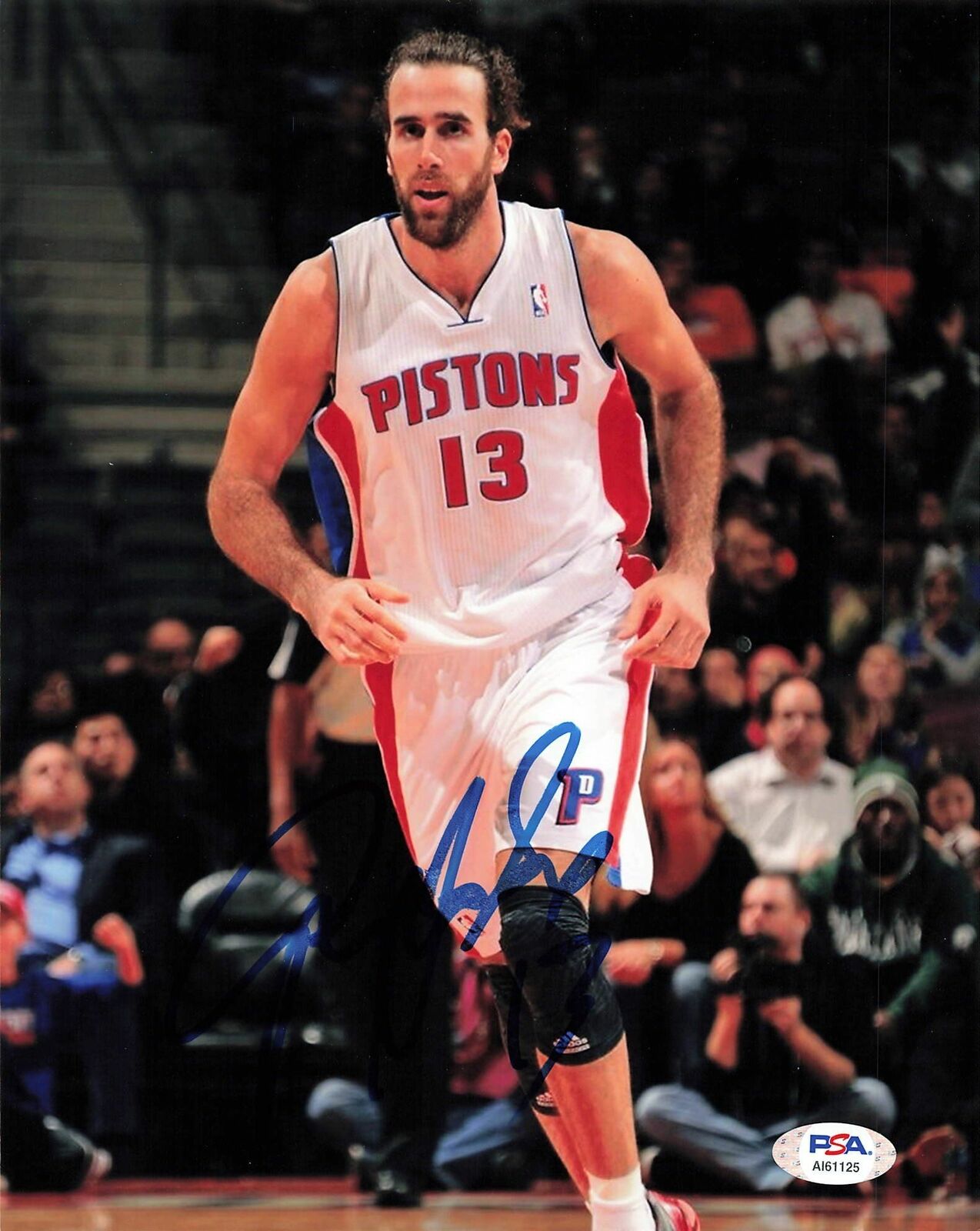 LUIGI DATOME signed 8x10 Photo Poster painting PSA/DNA Detroit Pistons Autographed