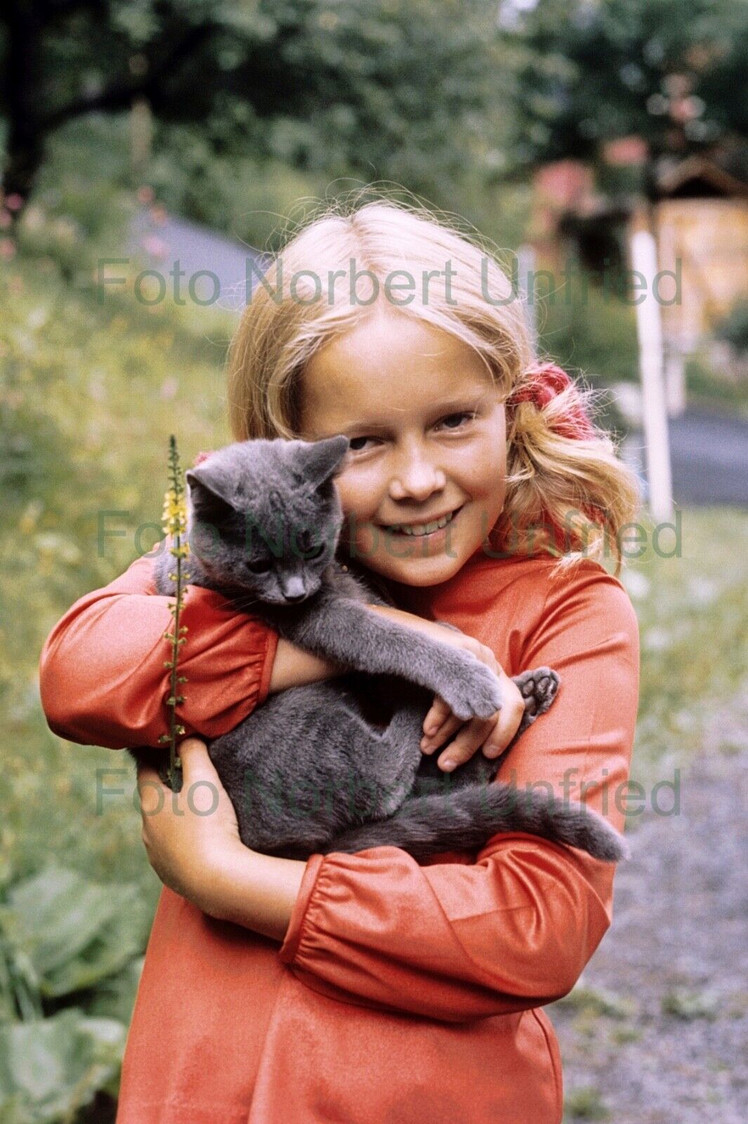 Anita Hegerland With Cat - Photo Poster painting 20 X 30 CM Without Autograph (Nr 2-60