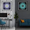 DIY Luminous Round  Resin  Diamond Painting Drills Bag