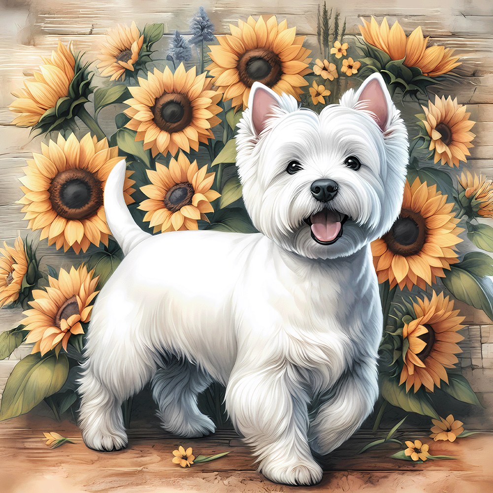 West Highlander 40*40cm(canvas) full round drill diamond painting