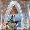 🐦2023 Spring Hot Sale💝 Arch Window Bird Feeder🏠-mysite-Adracos