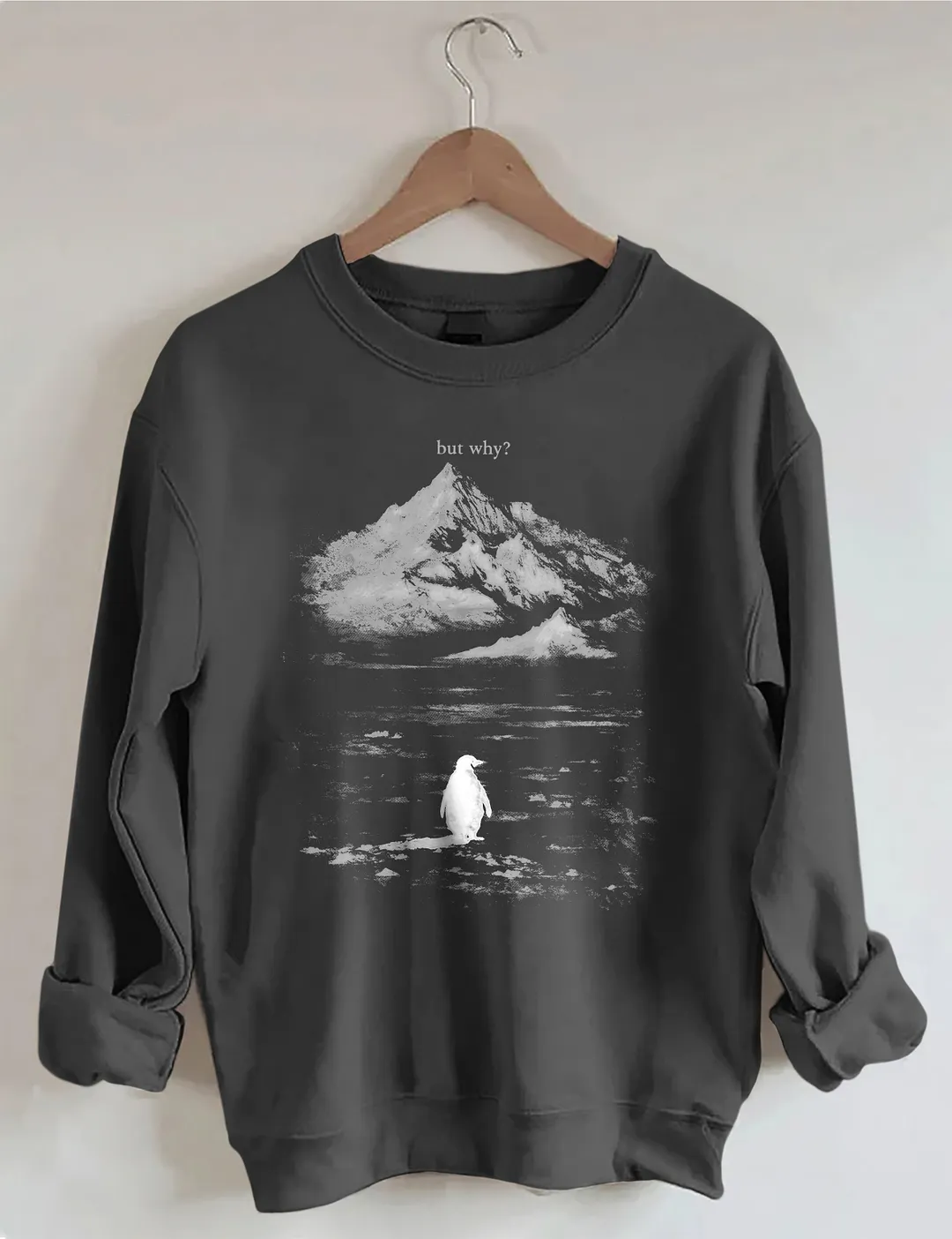 But Why Penguin Sweatshirt