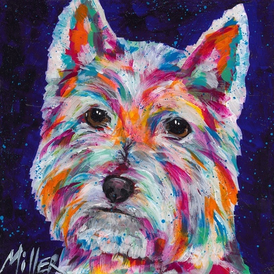 

Colorful West Highland Terrier – Paint By Numbers - 40*50CM, 501 Original