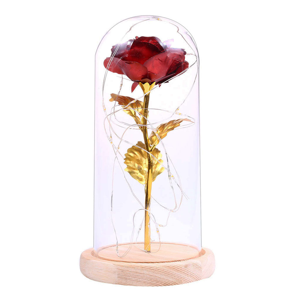 

20LED Rose Glass Dome Copper Wire String-String Light, 501 Original