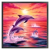 (Counted/Stamped)Dolphins At Sunset-11CT Cross Stitch 40*40cm/15.75*15.75in