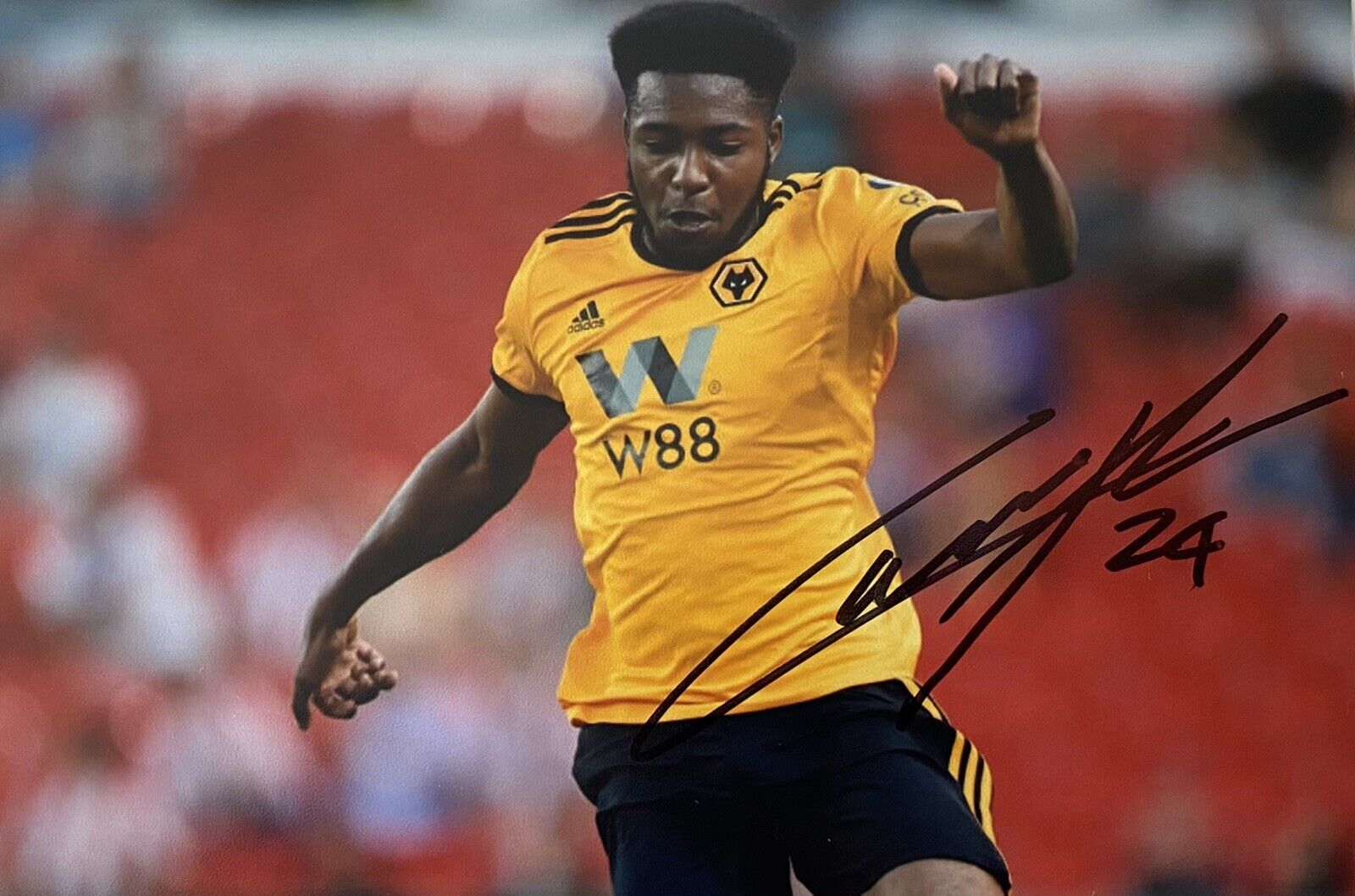 Cameron John Genuine Hand Signed Wolves 6X4 Photo Poster painting 2