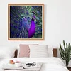 Purple Peacock - Full Round Drill Diamond Painting