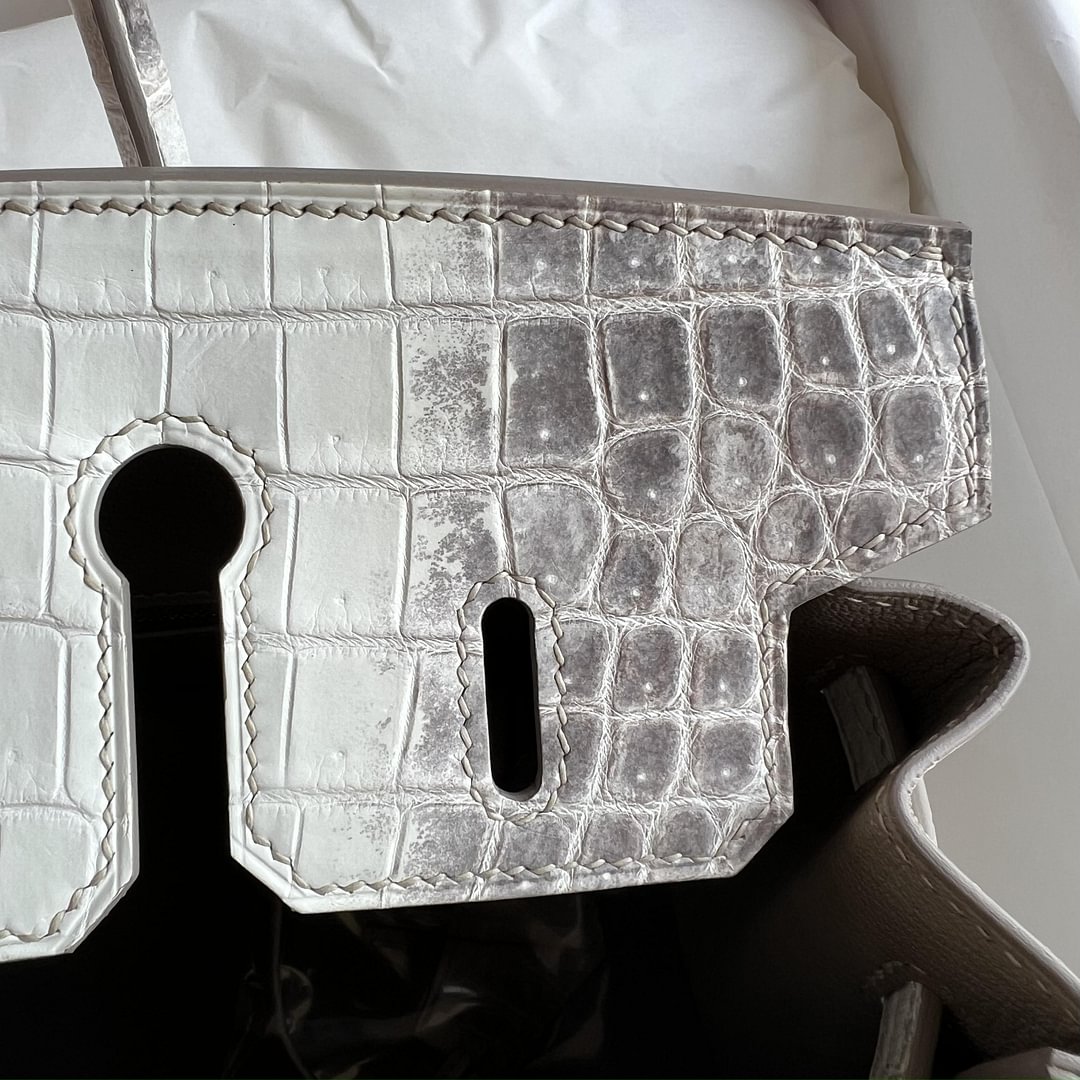 Birkin 25cm Matte Niloticus Crocodile  01 Himalaya PHW