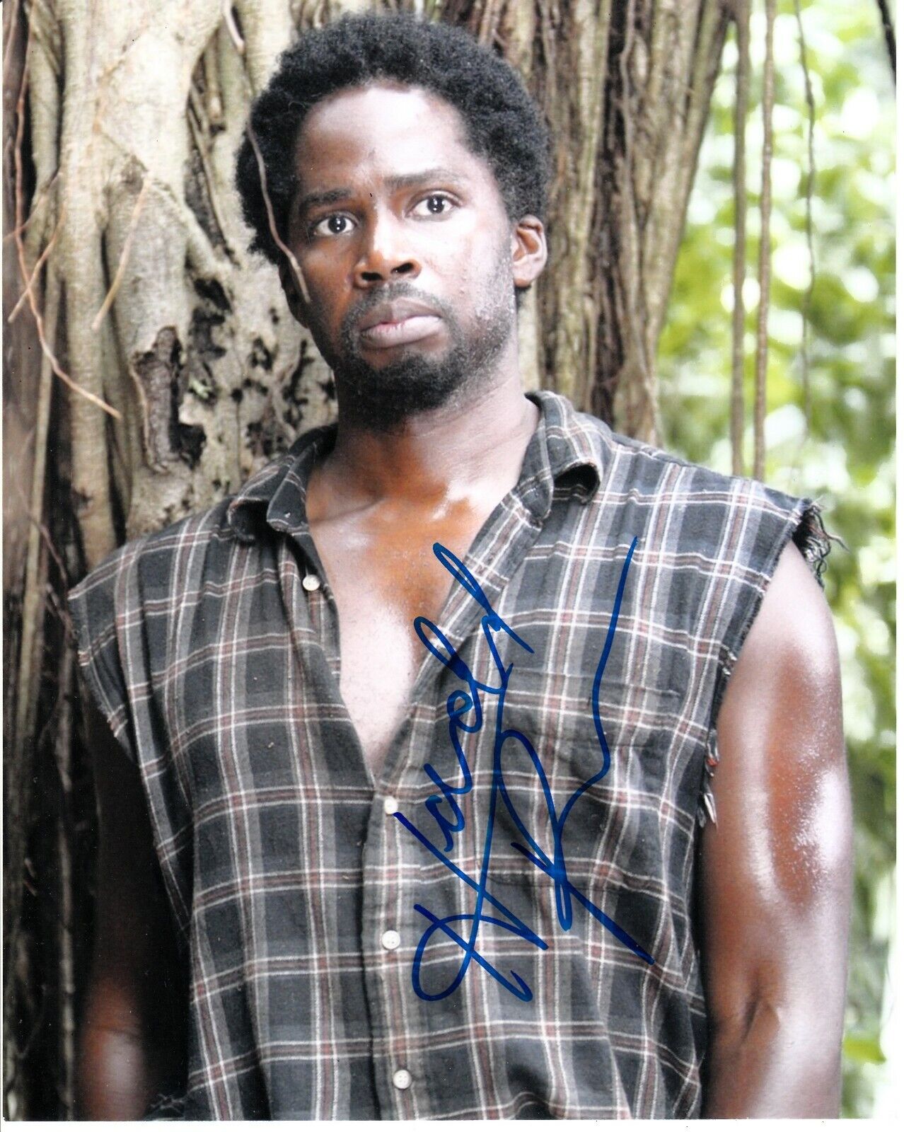 HAROLD PERRINEAU SIGNED LOST Photo Poster painting UACC REG 242 (4)