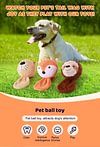 Squeaky Dog Toys, Soft Stuffed Plush Balls with Squeakers, Interactive Fetch Play for Puppy Small Medium Pets