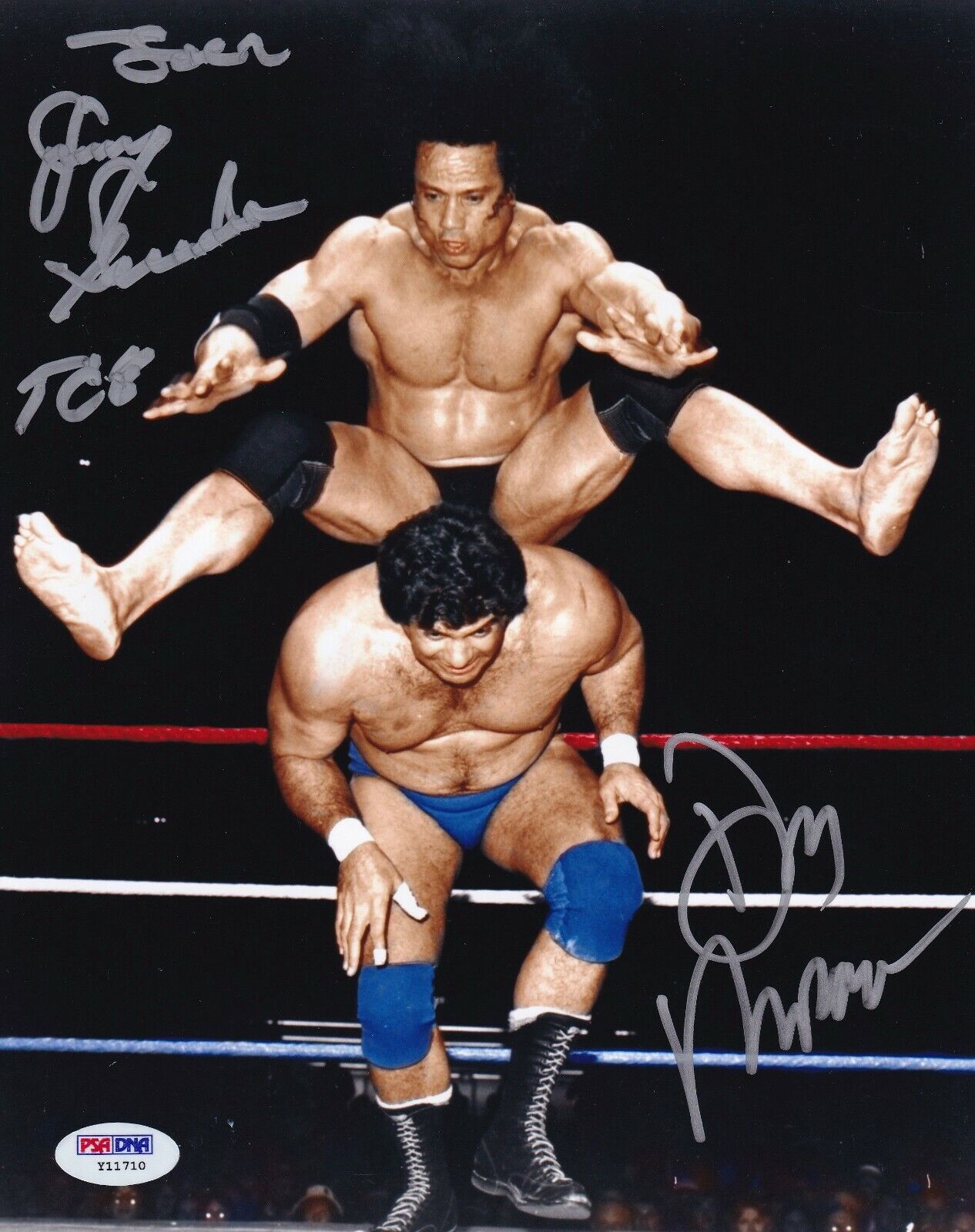 Superfly Jimmy Snuka & Don Muraco Signed WWE 8x10 Photo Poster painting PSA/DNA COA Auto Picture