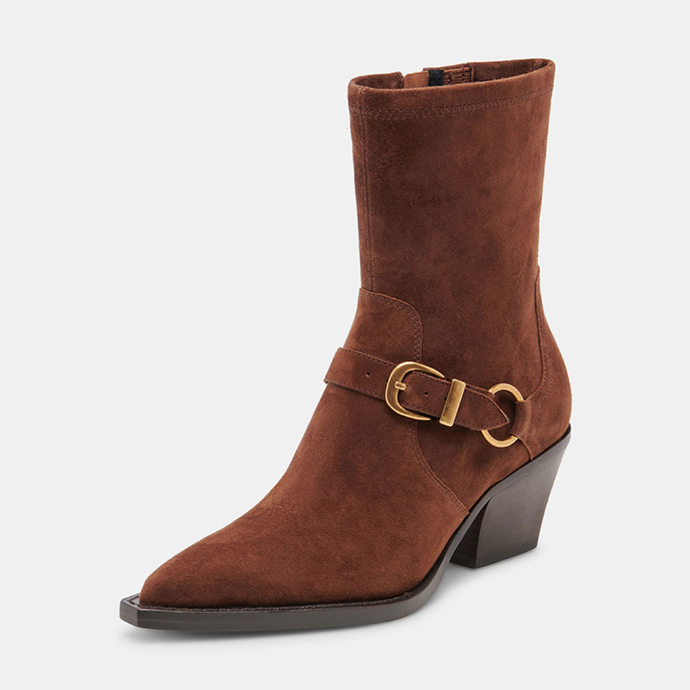 Brown Buckle Strap Pointed Toe Chunky Heel Ankle Boots with Zipper Nicepairs