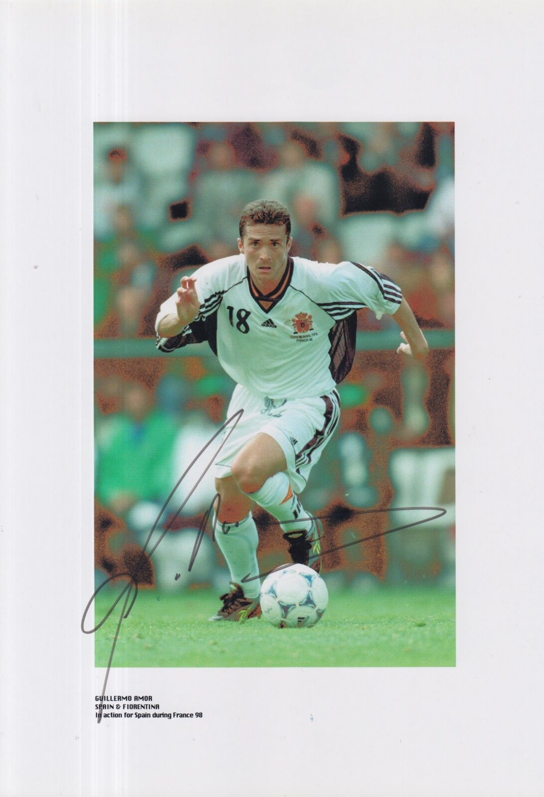 SPAIN HAND SIGNED GUILLERMO AMOR 12X8 Photo Poster painting.