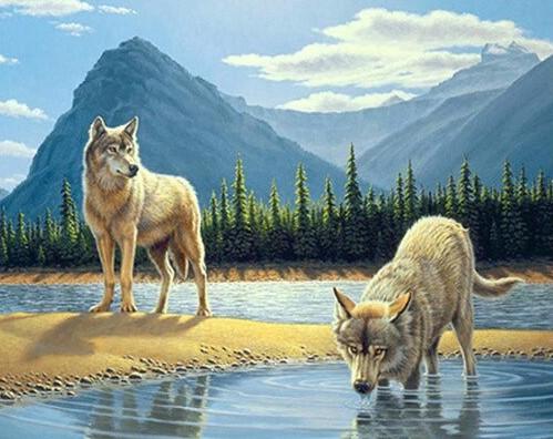 

Wolves drink – Paint By Numbers - 40*50CM, 501 Original