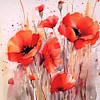 Painting By Numbers-Poppy(40*40CM)