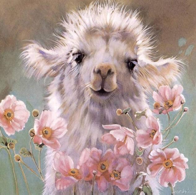 

Baby llama – Paint By Numbers - 40*50CM, 501 Original
