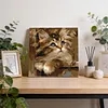 Framed Pear Cat-Paint By Numbers Acrylic Painting 20*20CM With Color Box 3ML(12Colors)