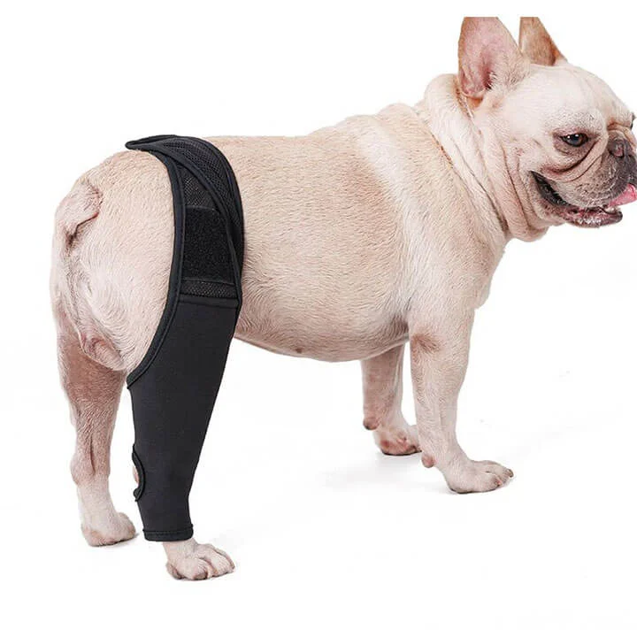 Dog Knee Brace Support For Torn ACL