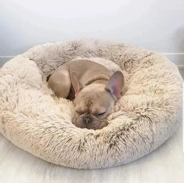 Beige Color Donut Pet Bed