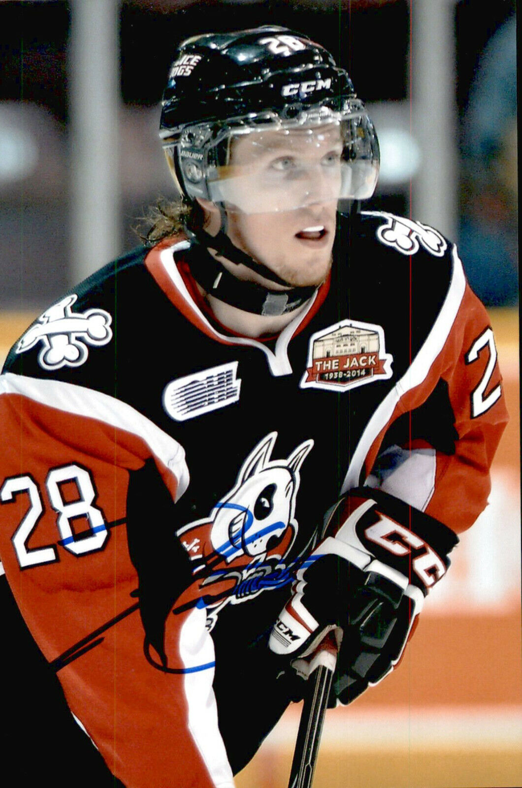 Aaron Haydon SIGNED autographed 4x6 Photo Poster painting NIAGARA ICE DOGS / DALLAS STARS