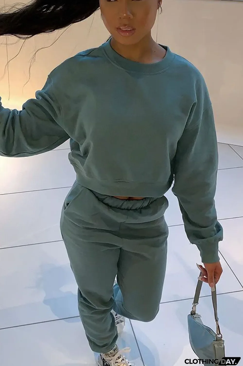 Blue Casual Solid Long Sleeve Two Pieces