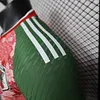 2024/2025 Player Version Japan Special Edition Football Shirt 1:1 Thai Quality