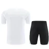 Germany 25-26 Short-sleeve Tracksuit White Chandal  