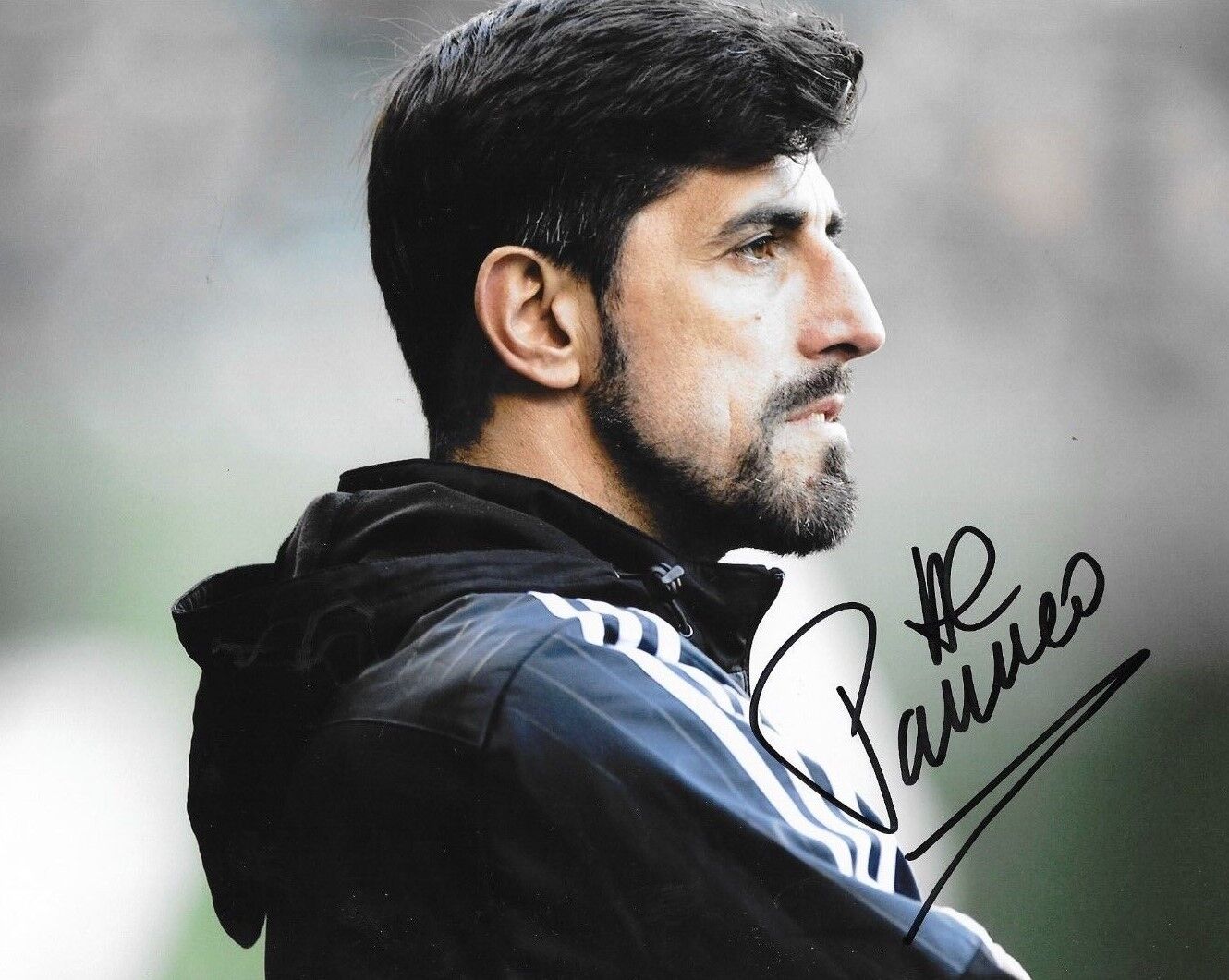 Veljko Paunovic signed Chicago Fire MLS Soccer 8x10 Photo Poster painting autographed 6