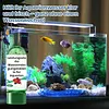 🐠💧 Comprim&eacute; Puissant de Purification de l'Eau pour Aquarium🔥