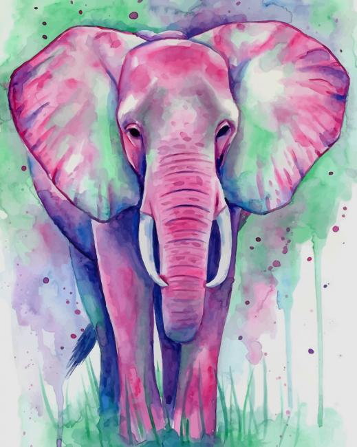 

Watercolor Elephant – Paint By Numbers - 40*50CM, 501 Original
