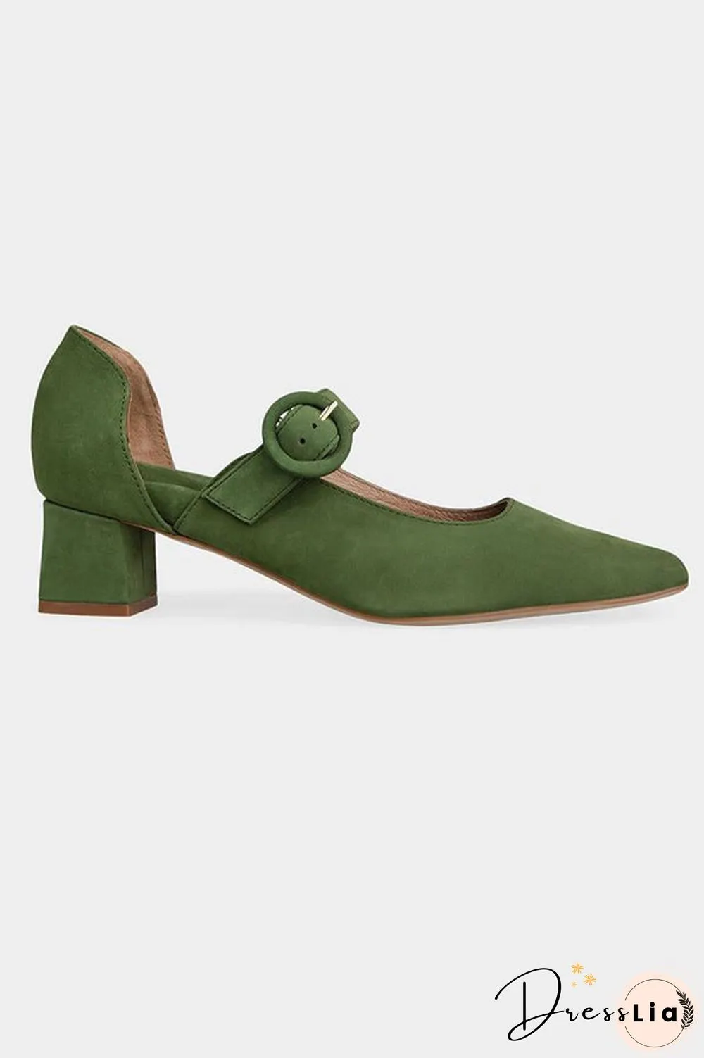 Pointed Toe Buckled Chunky Heels