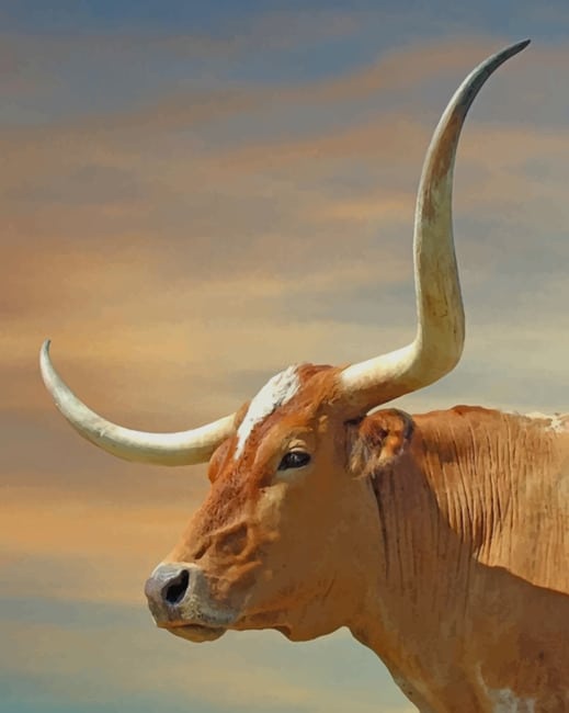 

Brown Longhorn – Paint By Numbers - 40*50CM, 501 Original