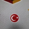 24/25 Player Galatasaray S.K. Soccer Jersey Away
