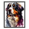 Bernese Mountain Dog-11CT Stamped Cross Stitch 40*50cm